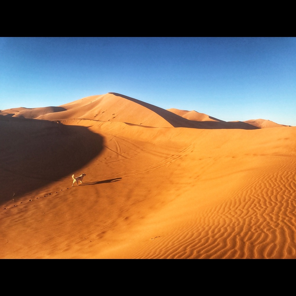 Meet your Posher, Erica